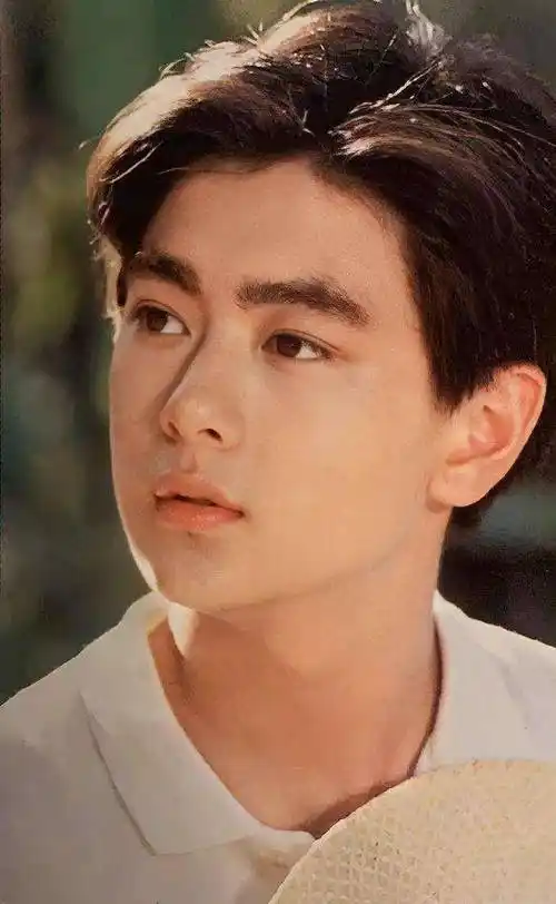 原创林志颖车祸疑毁容他年轻时可是亚洲顶级美少年啊