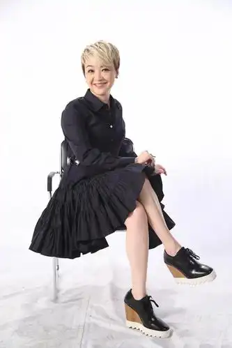 明星图集~陈慧娴