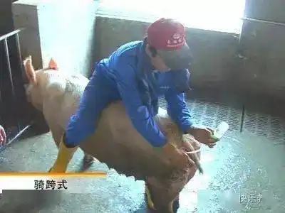 按照这个来,一次就中!