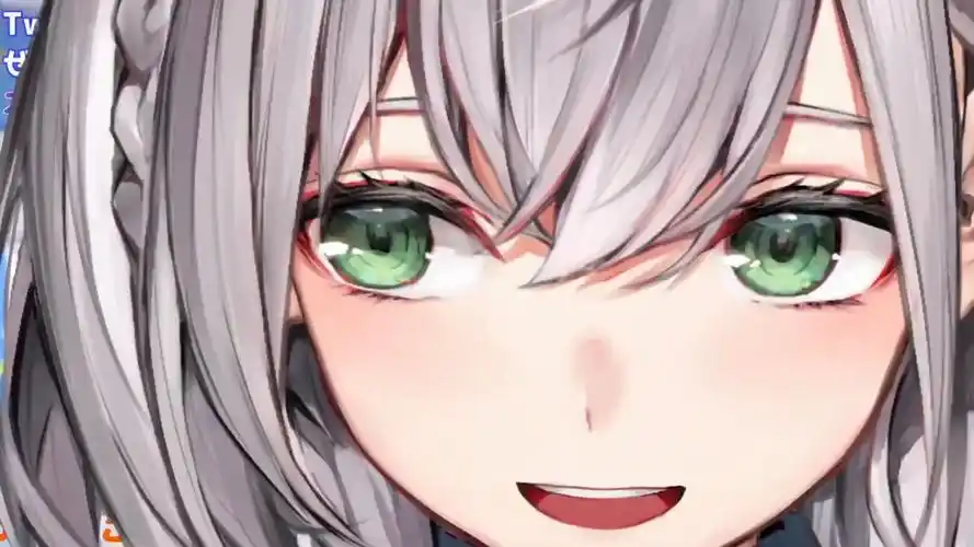 剪辑熟肉变得更大的白银诺艾尔