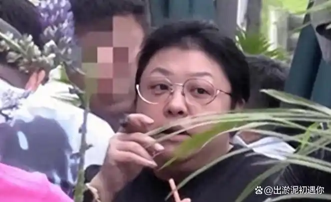 抽烟上瘾的女星们,王菲张柏芝烟不离手,韩红更爱雪茄