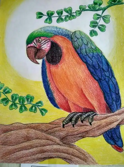 美丽绽放——烟台开发区第二初级中学校园艺术节之庆元旦书画摄影展