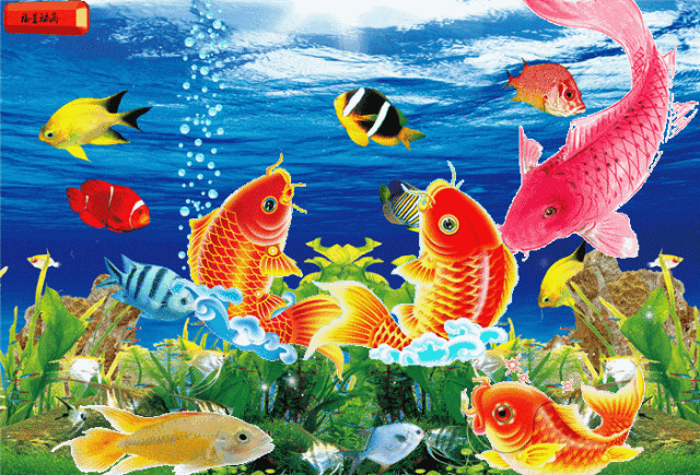 640_435gif 动态图 动图