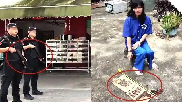 实拍特警持枪押解涉黑嫌犯指认现场挖出枪支子弹