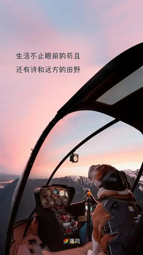 生活不止眼前的苟且,还有诗和远方的田野.