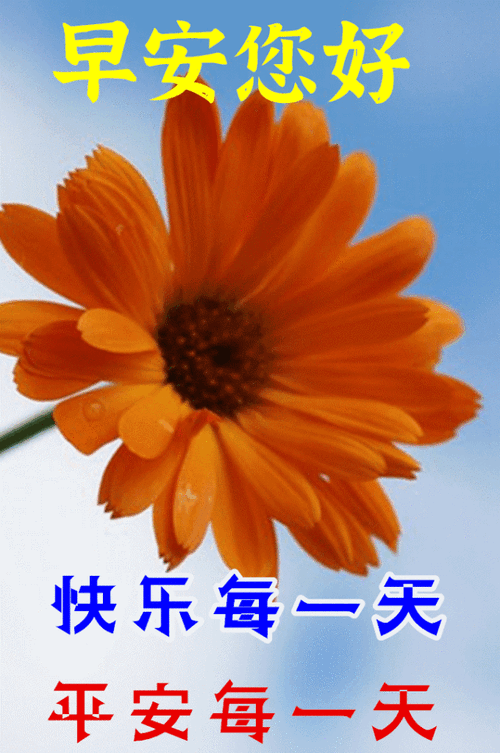 最美群发微信早上好表情图片,2021早上好表情图片带祝语