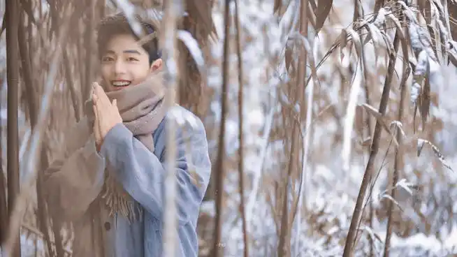 肖战冬至竹林大片##肖战我喜欢你