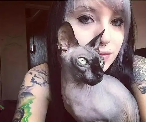 面相诡异全身无毛的喵星人,众女神却爱不释手