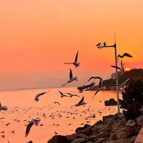 背景图好看微信朋友圈背景图