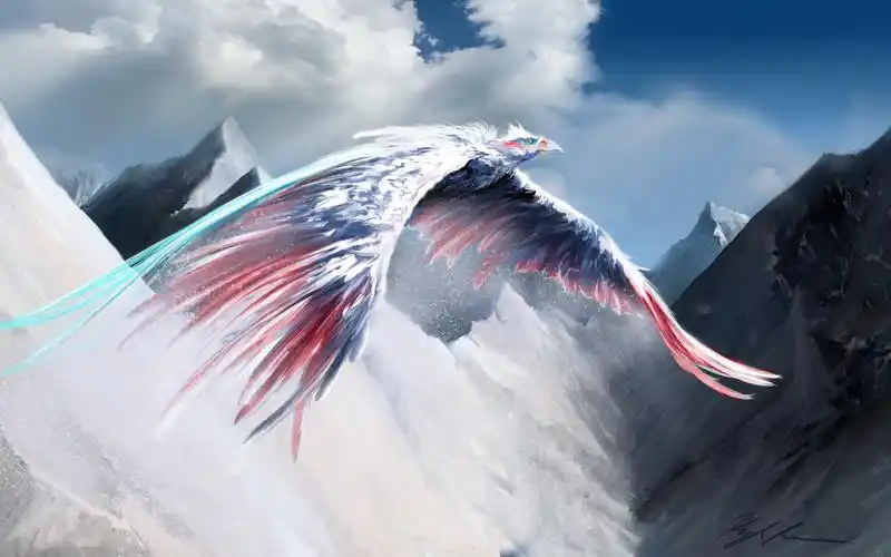 冰鸟 派克 vs 炸弹人 洛