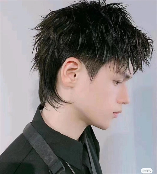 的发型,发尾稍长,剪的时候两边和上面的头发剪短,保留后脑勺部分不动