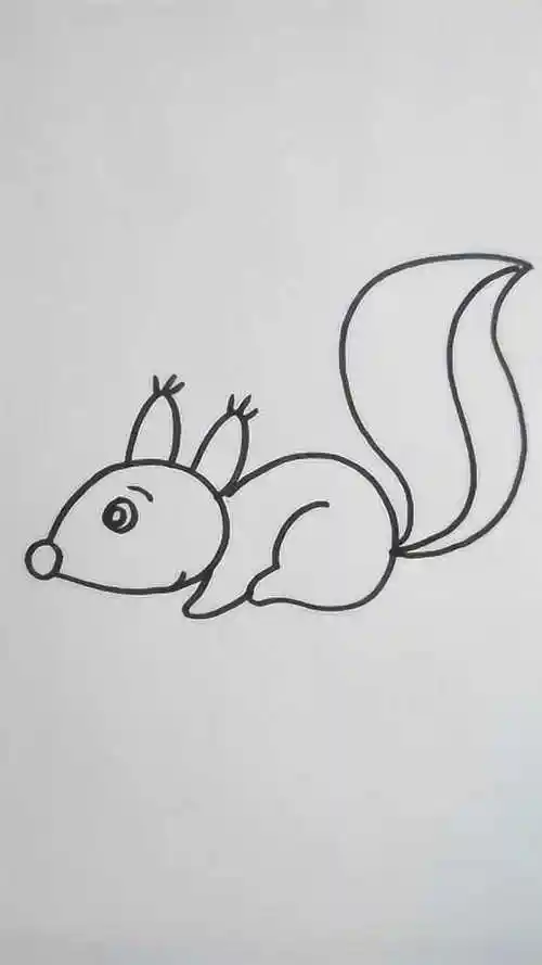 简笔画小松鼠你学会了吗宝妈必备技能赶紧教给宝宝吧