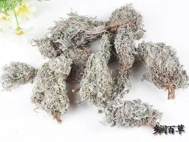 茵陈的功效与作用及中药禁忌