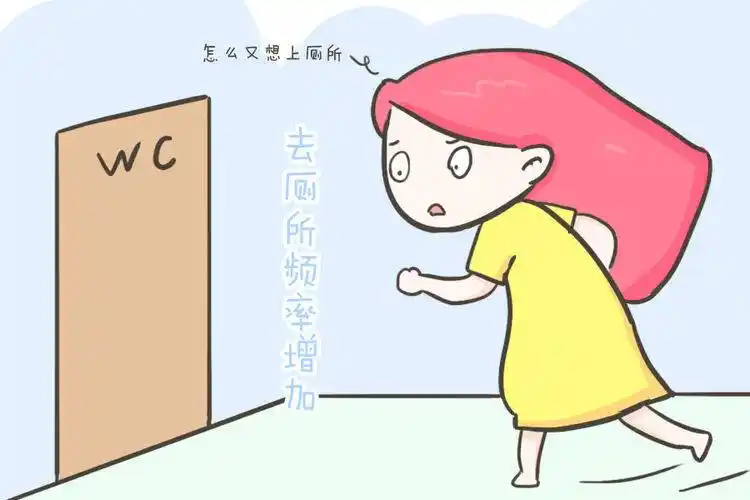 一般在怀孕9到12周的时候就是怀孕三个月,在怀孕三个月的时候,胎儿在