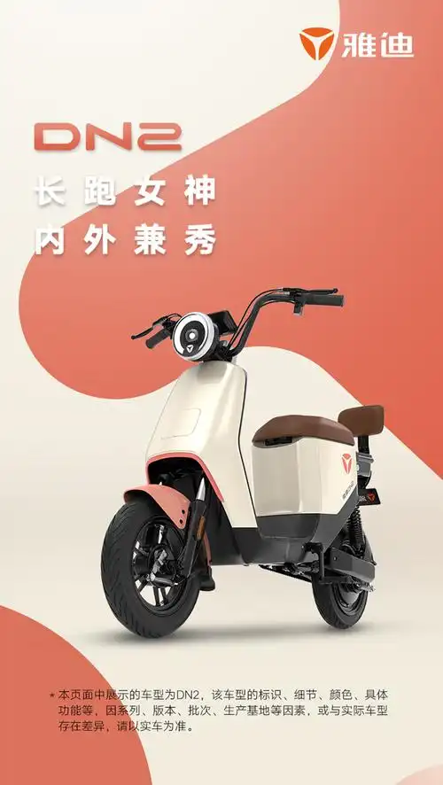 雅迪dn2新国标可上牌电瓶车可拆卸锂电池长续航助力电动自行车女 dn2