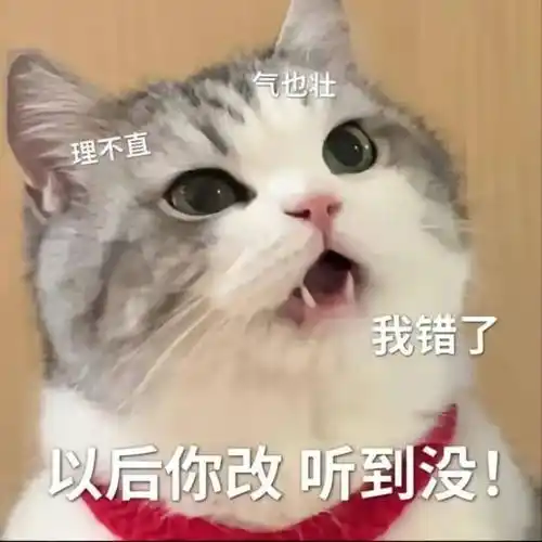 聊天必备表情包:你在教我做事?_人生_公众_生活