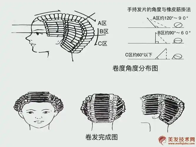 标准式烫发分区【标准烫分区图】