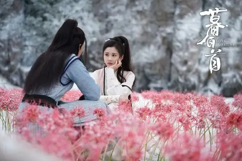 张慧雯暮白首古装剧照图片36