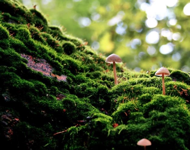 美图:大自然安静的时候,会给你一种静心的感觉