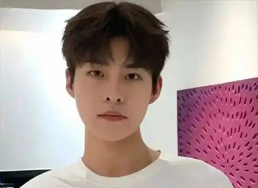 四六分微分碎盖,小鲜肉必备款发型