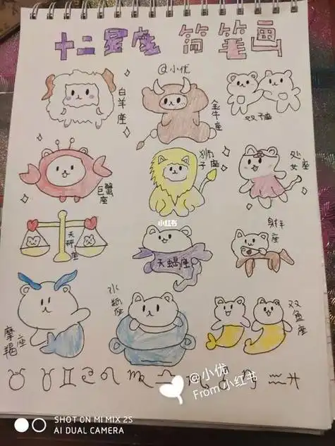 十二星座简笔画简单又漂亮