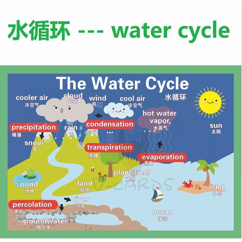 思维导图watercycle水循环英语教具大闪卡教室装修装饰海报a3