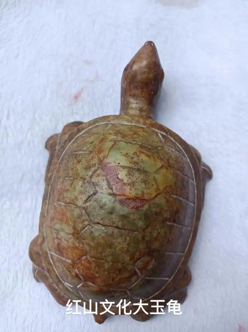 红山文化大玉龟,长19厘米,高约5厘米,宽13厘米.老河磨料 - 抖音