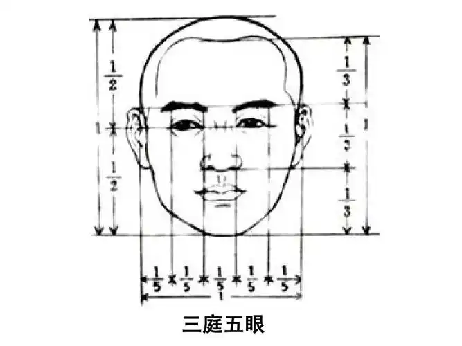 人体比例 三庭五眼