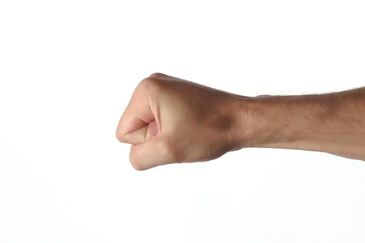 "溶栓高手"找到,不是木耳,没事多吃点,或血栓"知难而退"