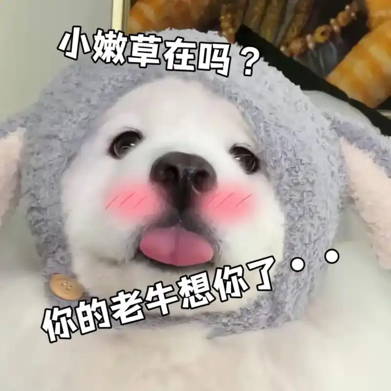 日常套路表情包 #情侣日常套路 #搞笑合集 #情侣幽默聊天 - 兑趑