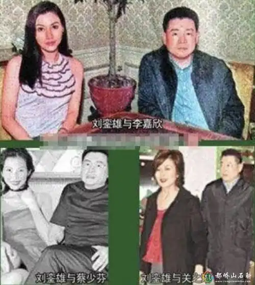 刘銮雄怎么玩李嘉欣刘銮雄李嘉欣为什么分手