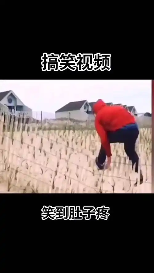 笑道肚子疼哈哈