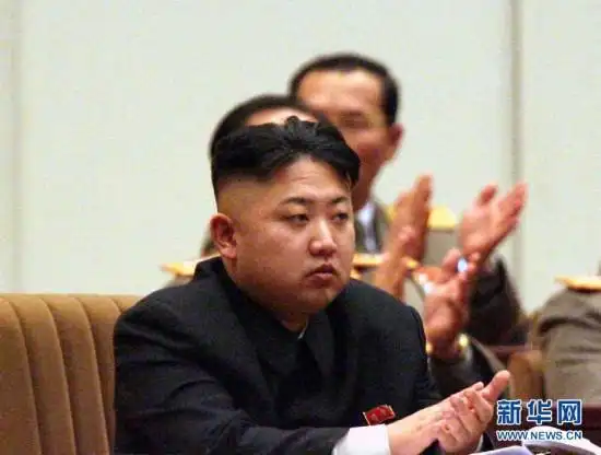 朝鲜举行中央追悼大会纪念金正日逝世一周年