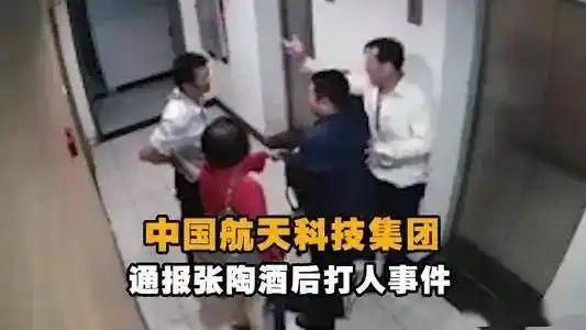 张陶酒后打人,为什么适用停职?