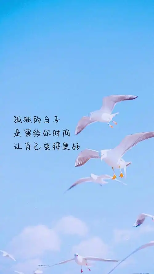 文字控高清风景手机壁纸图片_唯美_手机壁纸下载_美桌网