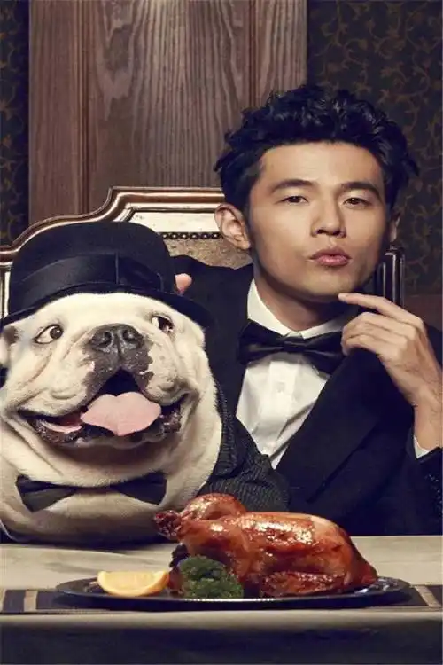 周杰伦简介(周杰伦简介和资料大全)