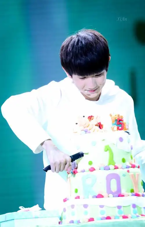 tfboys王源 151108 森林小夜曲生日会 cr:鲸小仙