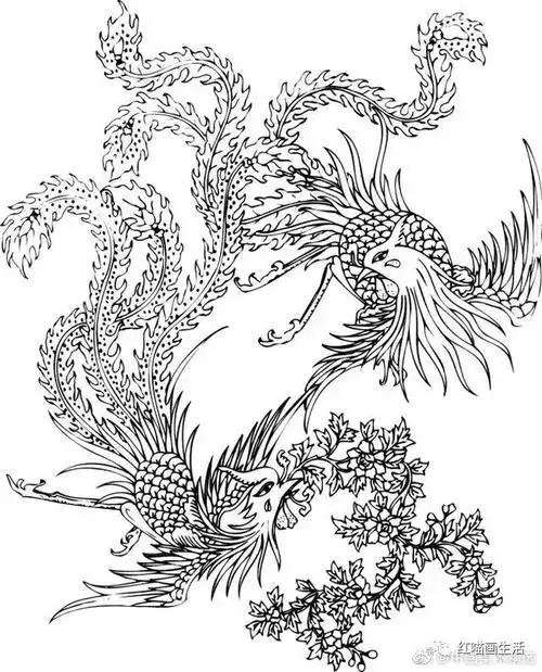 白描|春节凤凰啊!