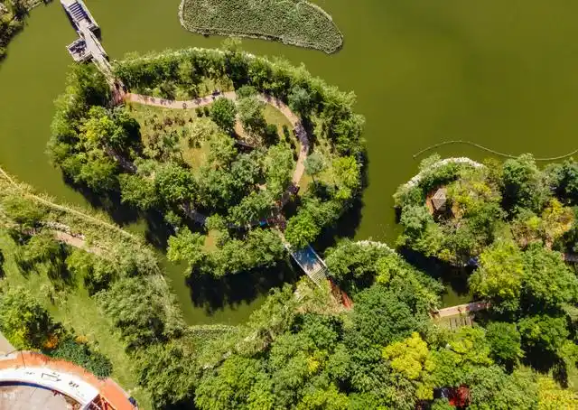 园林景观最有创意的设计就是大港公园中心的"心形"小岛,南北分别有