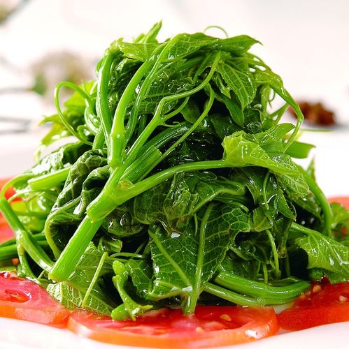 京津冀满68 一斤装 丝瓜尖 远东春生鲜 新鲜蔬菜 包邮