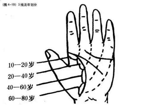 手纹井字纹阶梯纹(手相井字纹出现在哪不好)