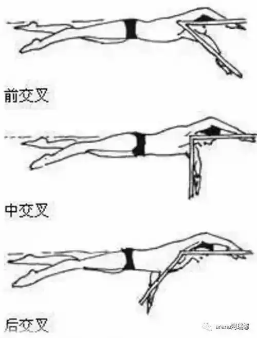 不懂前中后交叉,你错过了一个让自由泳变得更快的招式