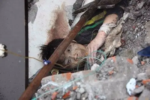 紧急转发!提高5倍存活率!地震来的时候.幸存者都无意间做了这个动作.