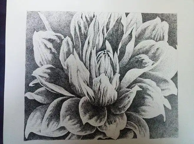 点绘点构成黑白花黑白画