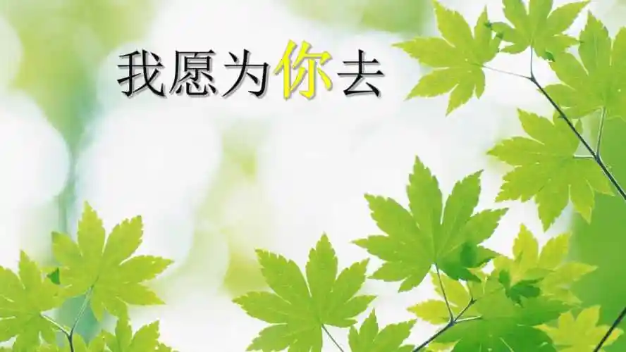我愿为你去ppt课件