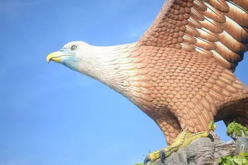 这个斥巨资建造的老鹰超级逼真巨大