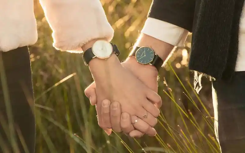 回到爱情的城市