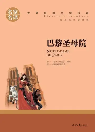 【满13元包邮】巴黎圣母院 雨果 原版原著中文版(巴黎圣母院/世界文学