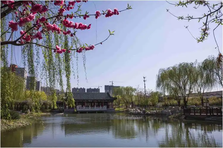 大美任丘四月天