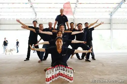 腾飞梦团队造型